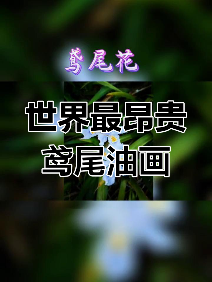 鸢尾花:法国的自由与光明象征,油画价值5390万美元