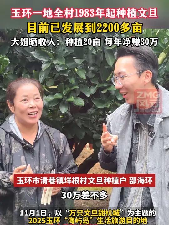 玉环一地全村1983年起种植文旦,目前已发展到2200多亩,大姐晒收入:种植20亩 每年净