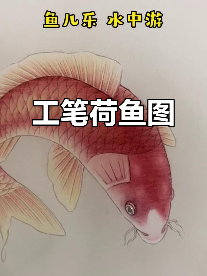 荷花与鱼儿共舞,工笔画中的诗意之美