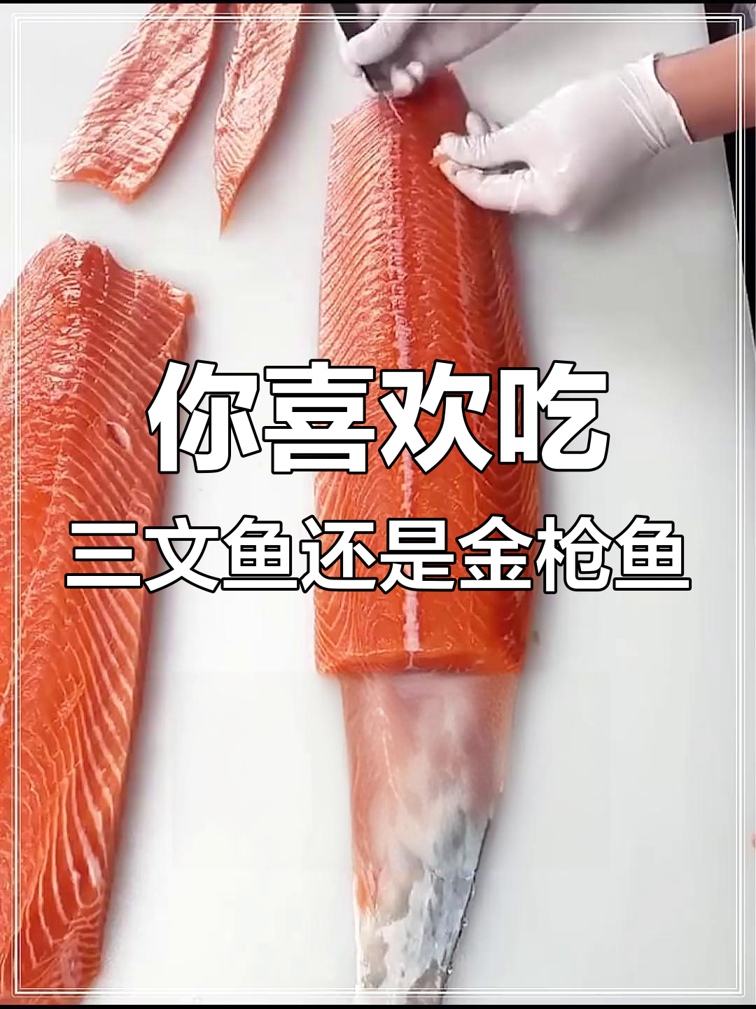 三文鱼与金枪鱼的口味对比:哪个更受欢迎?