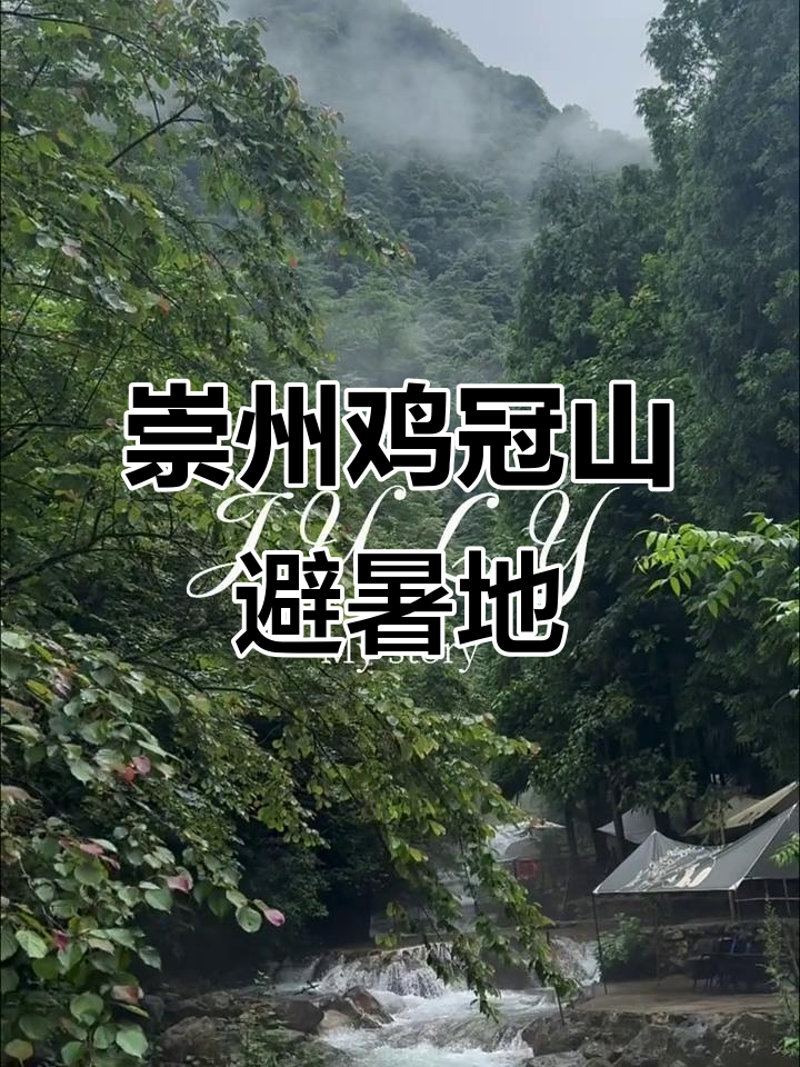 崇州鸡冠山森林公园:避暑玩水新发现
