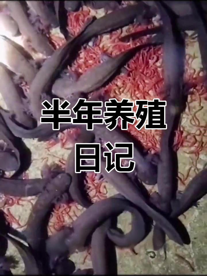 娃娃鱼宝宝成长揭秘