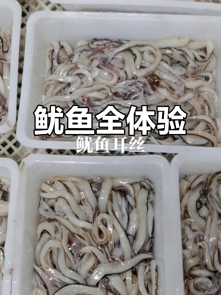 鱿鱼各部位大集结,口感丰富多样!
