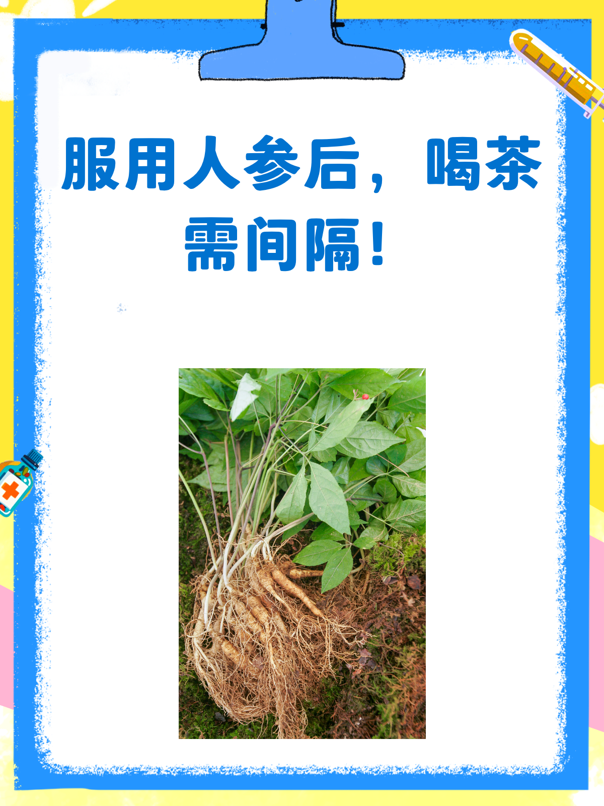服用人参后想喝茶?看完这篇就懂了!