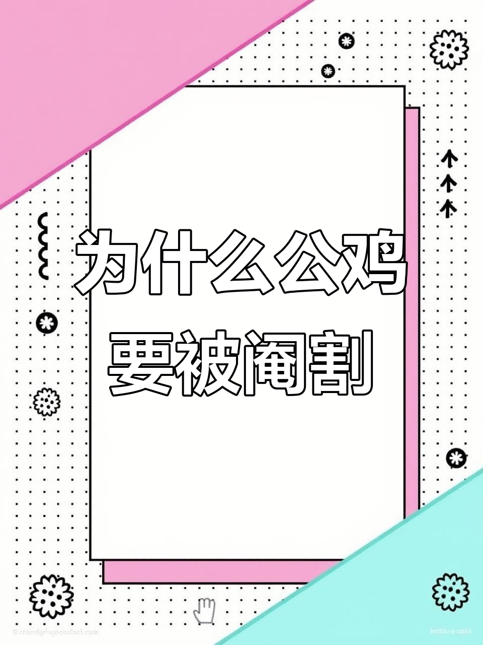 公鸡阉割的真相:为了它好,还是另有原因?
