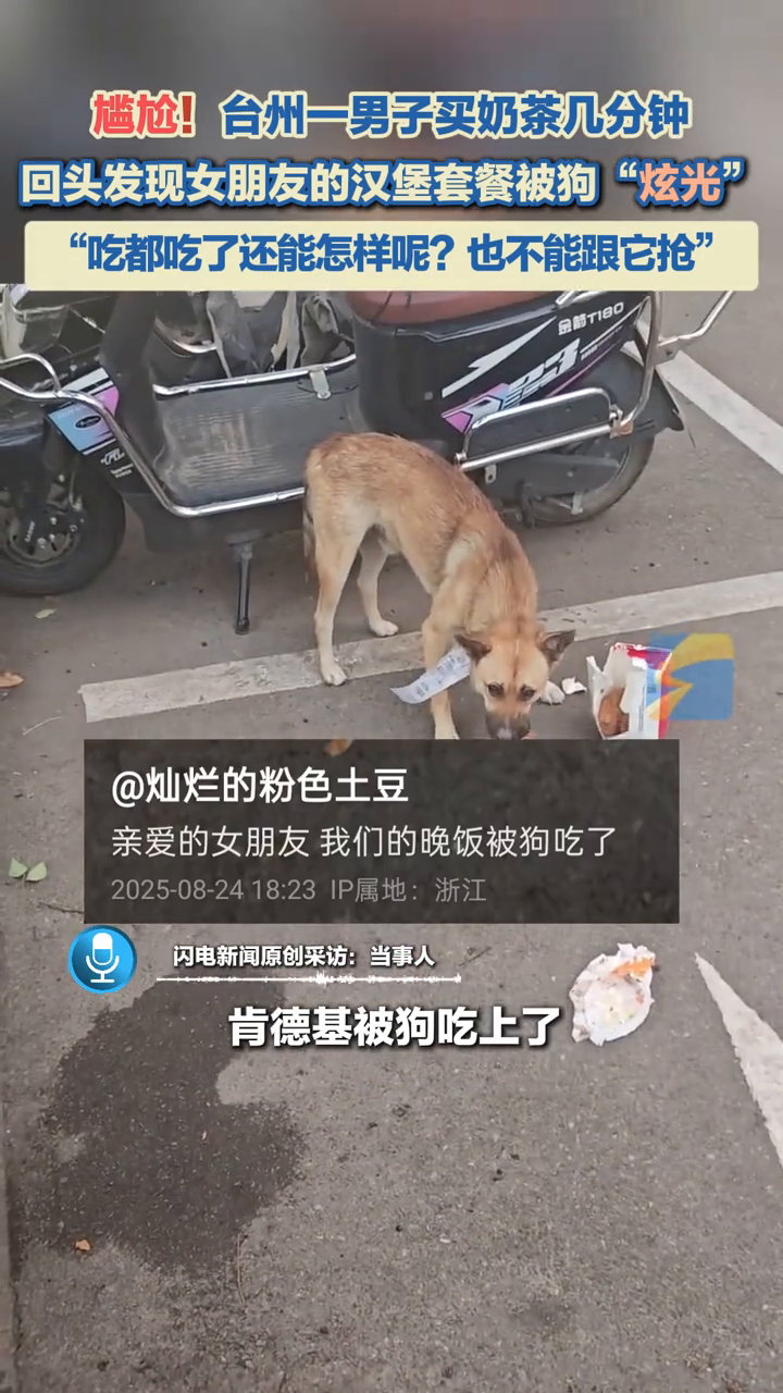 男子买奶茶几分钟,回头发现女朋友的汉堡套餐被狗“炫光”