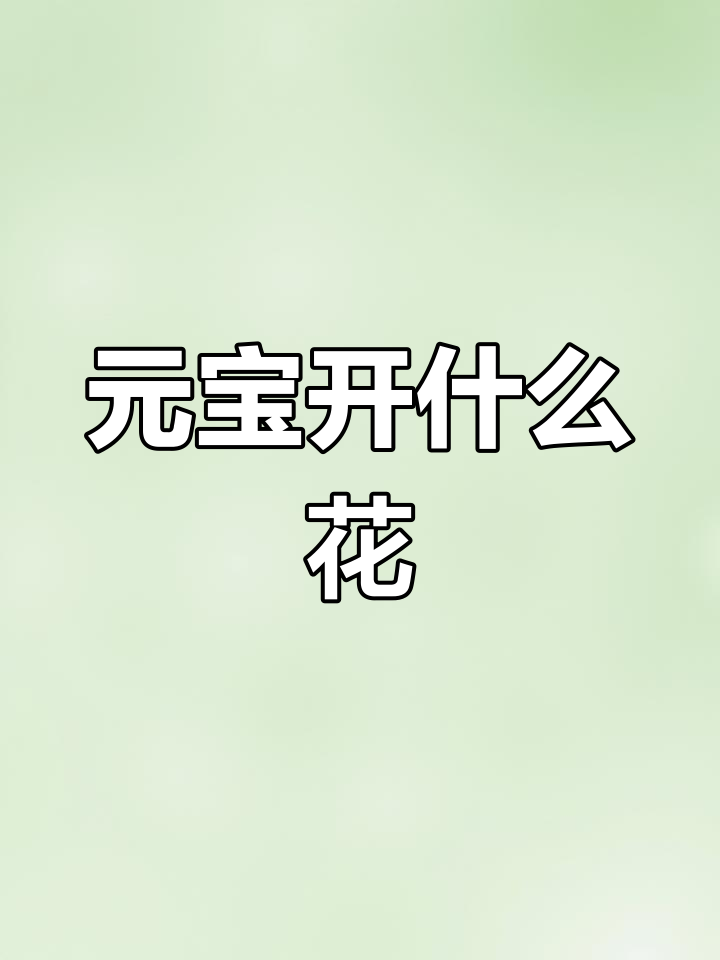 元宝开花是什么品种?
