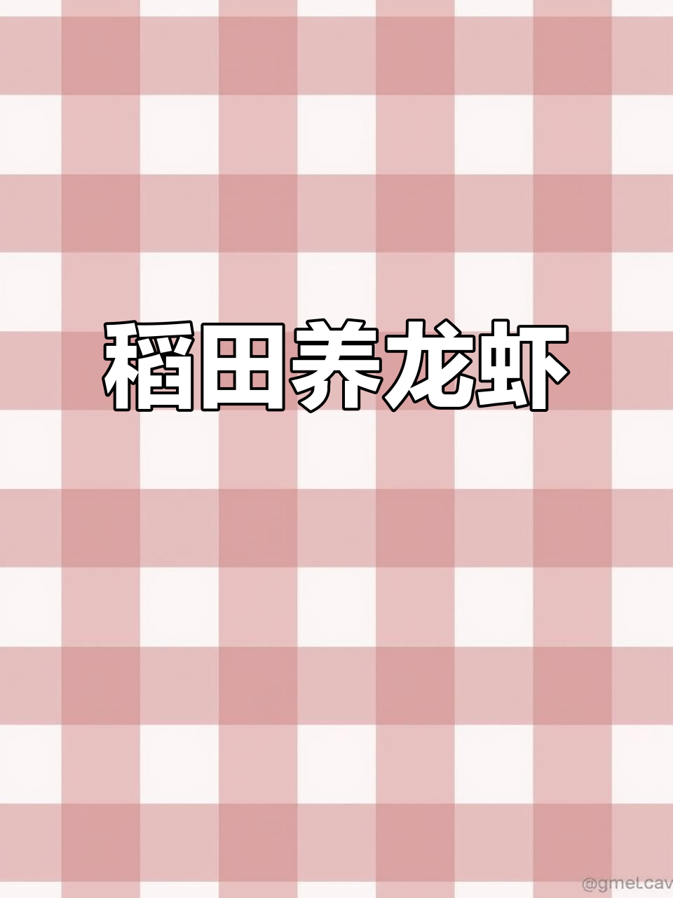 稻虾共生,亩产效益超5000元!