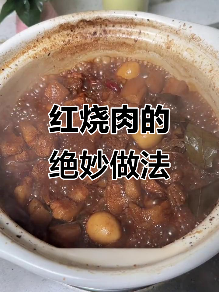 砂锅红烧肉,香气扑鼻,轻松搞定老婆的心