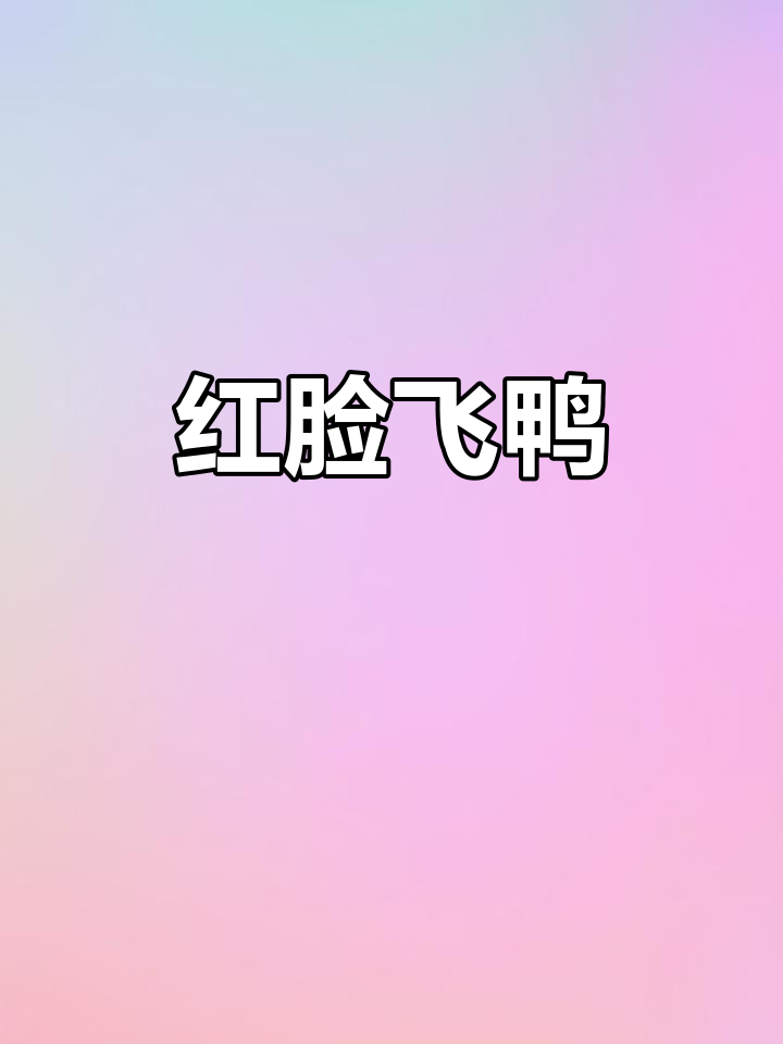 番鸭：会飞的鸳鸯鸭，红脸可爱