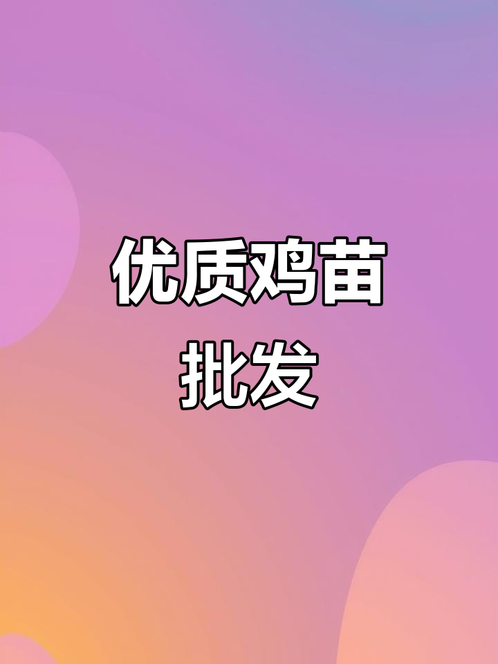 鸡苗批发零售,价格实惠,质量保证