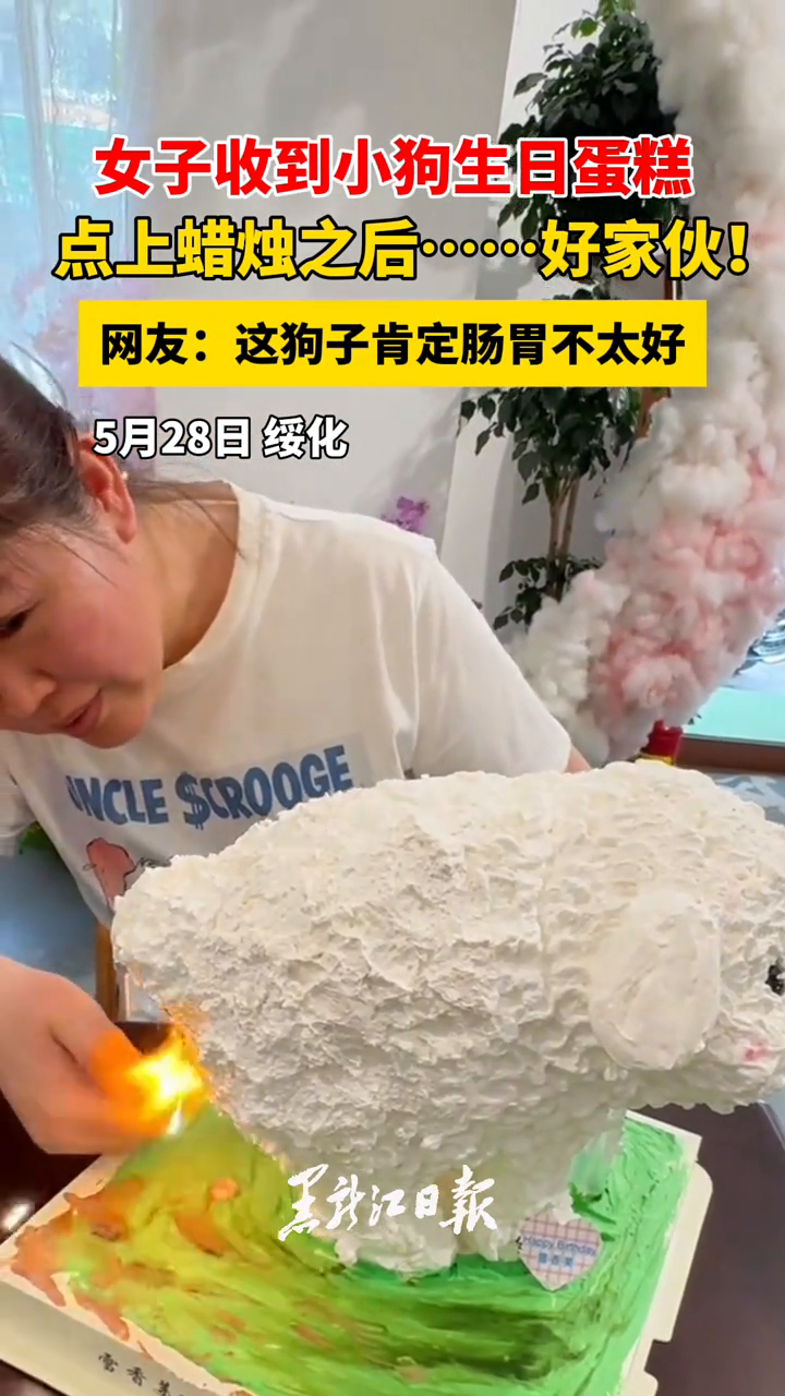 女子收到小狗生日蛋糕 点上蜡烛之后……好家伙！