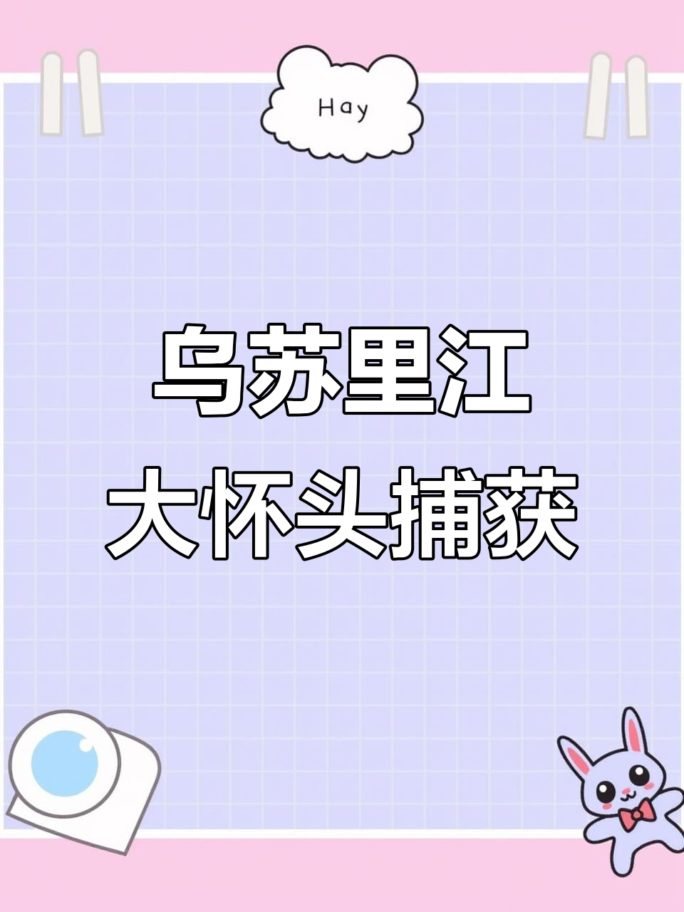 乌苏里江野生大怀头，五六十斤重，挑战极限捕捞