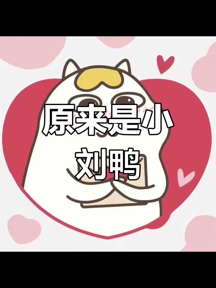 小刘鸭的神秘头像
