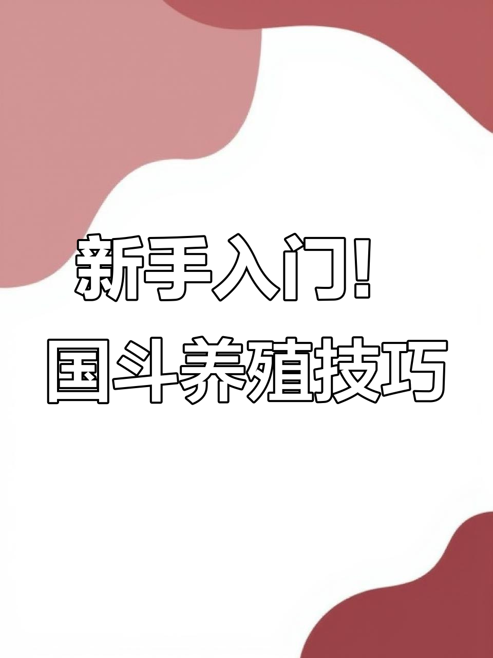零基础养好中国斗鱼全攻略:从环境到灯光,全方位细节解析