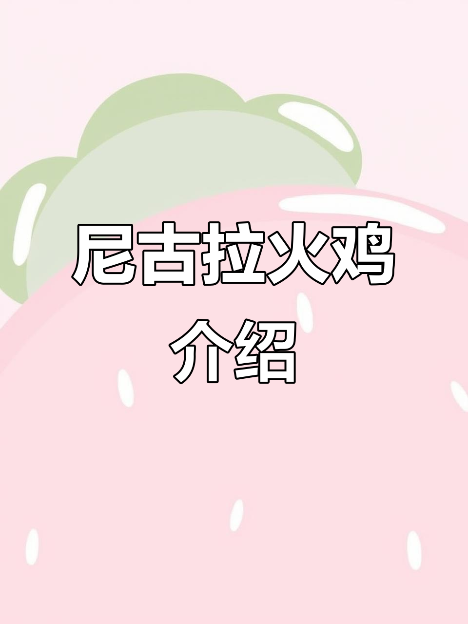 尼古拉青铜火鸡：独特品种揭秘