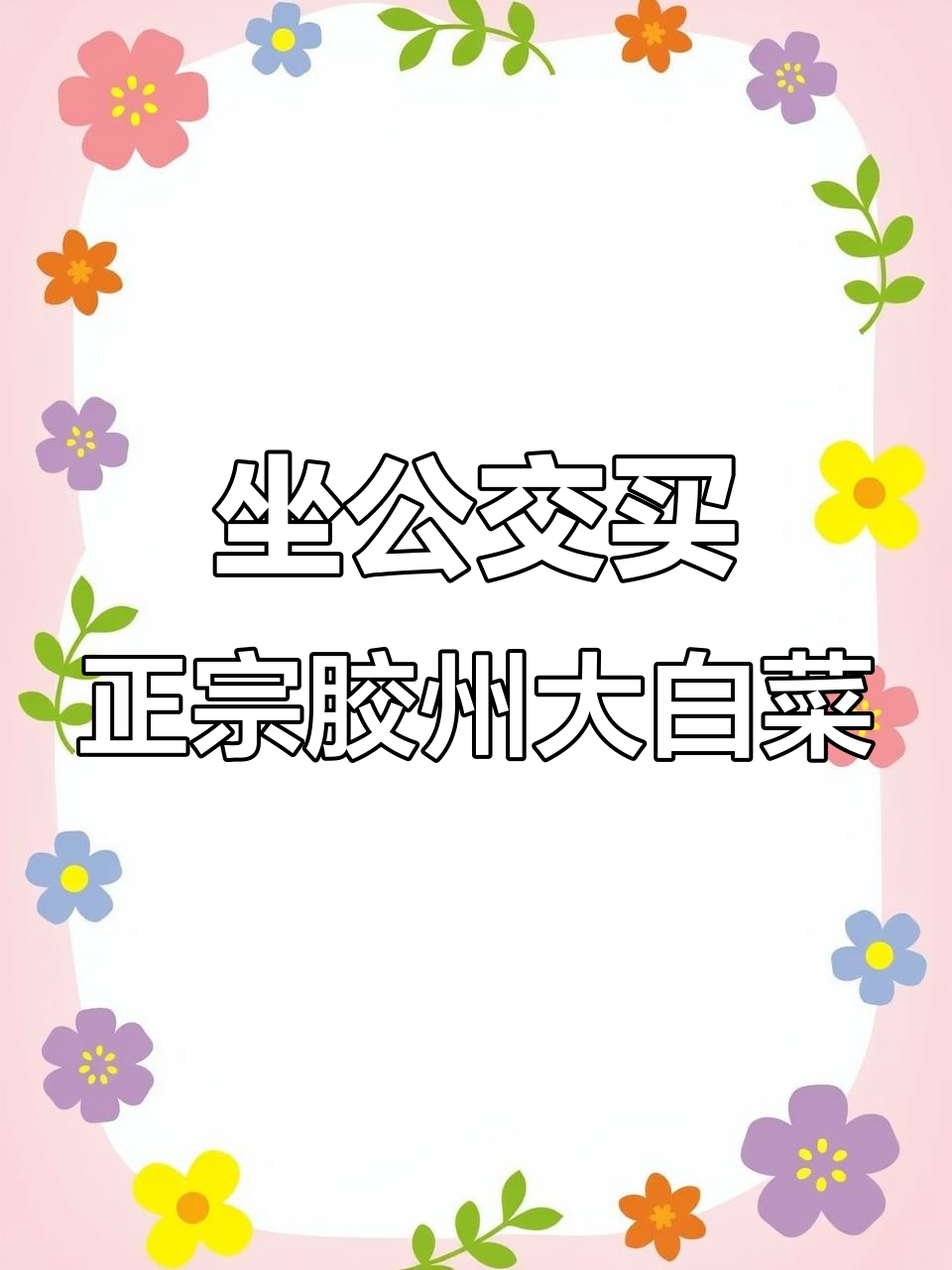 青岛公交直达胶州大白菜基地,放心菜就在家门口