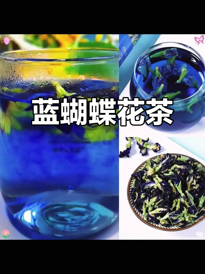 蓝蝴蝶花茶:清新奶茶调色,30克罐装优选