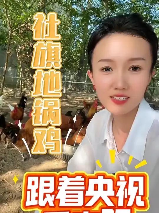 跟着央视看南阳——社旗地锅鸡，柴火锅，真柴鸡，还有地锅焦壳馍～社旗地锅鸡央视财经频道南阳社