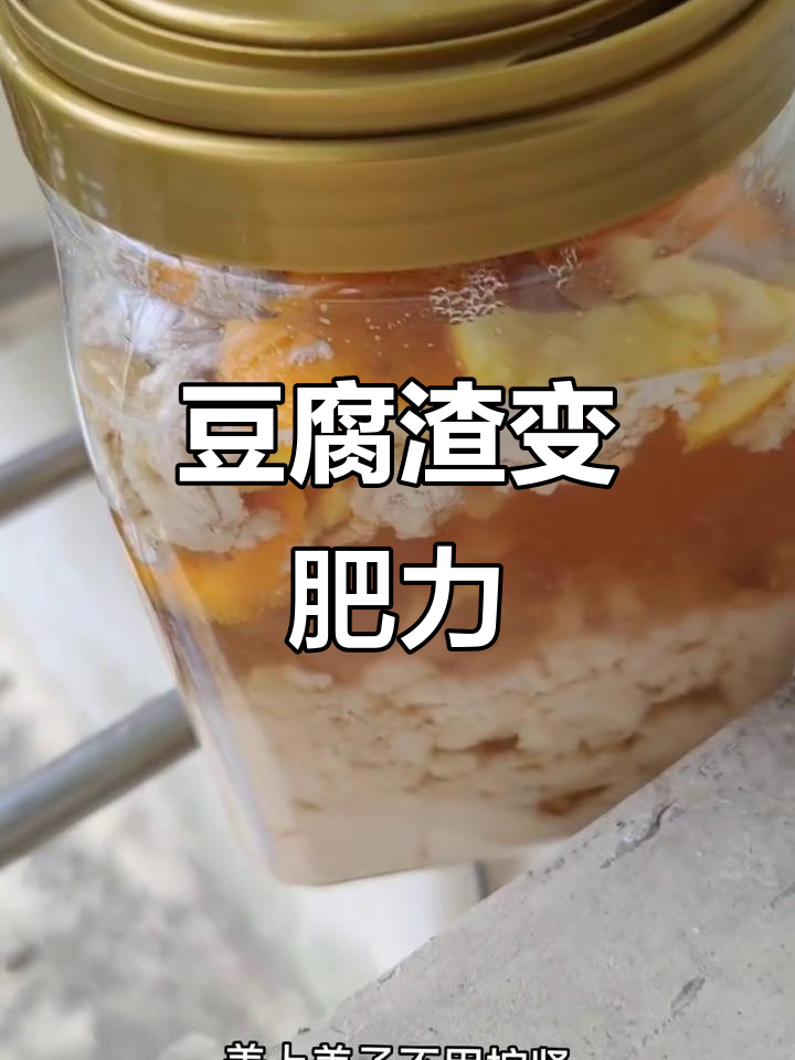 用豆腐渣做肥料,酵母红糖帮忙发酵,臭味轻松解决!