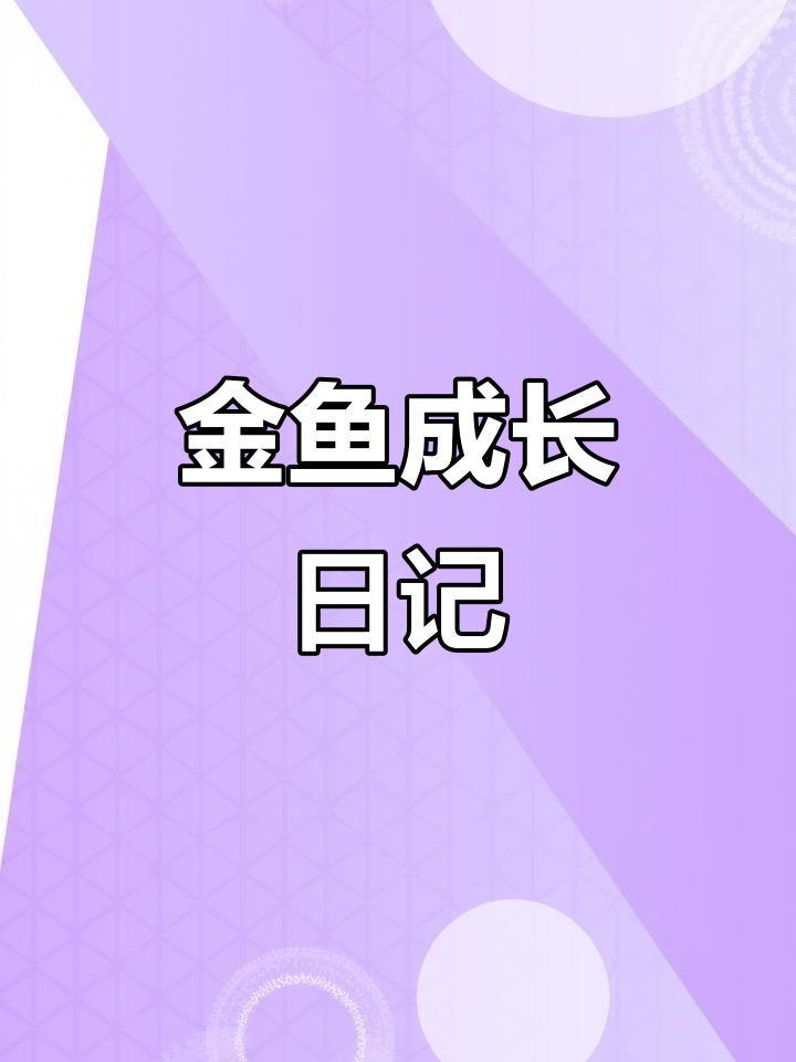 小金鱼成长记：从鱼苗到成鱼的点滴变化
