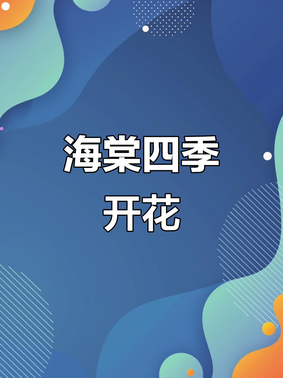 佛肚海棠四季绽放,吸甲醛净化空气,室内盆栽易养
