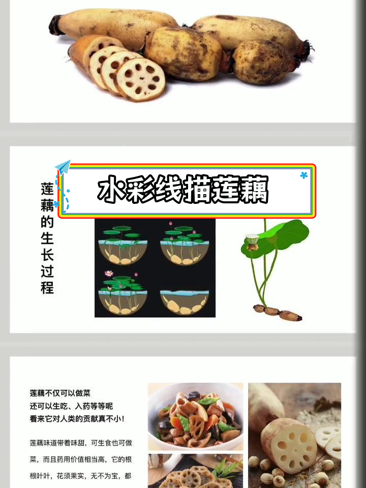 创意儿童水彩画:莲藕艺术
