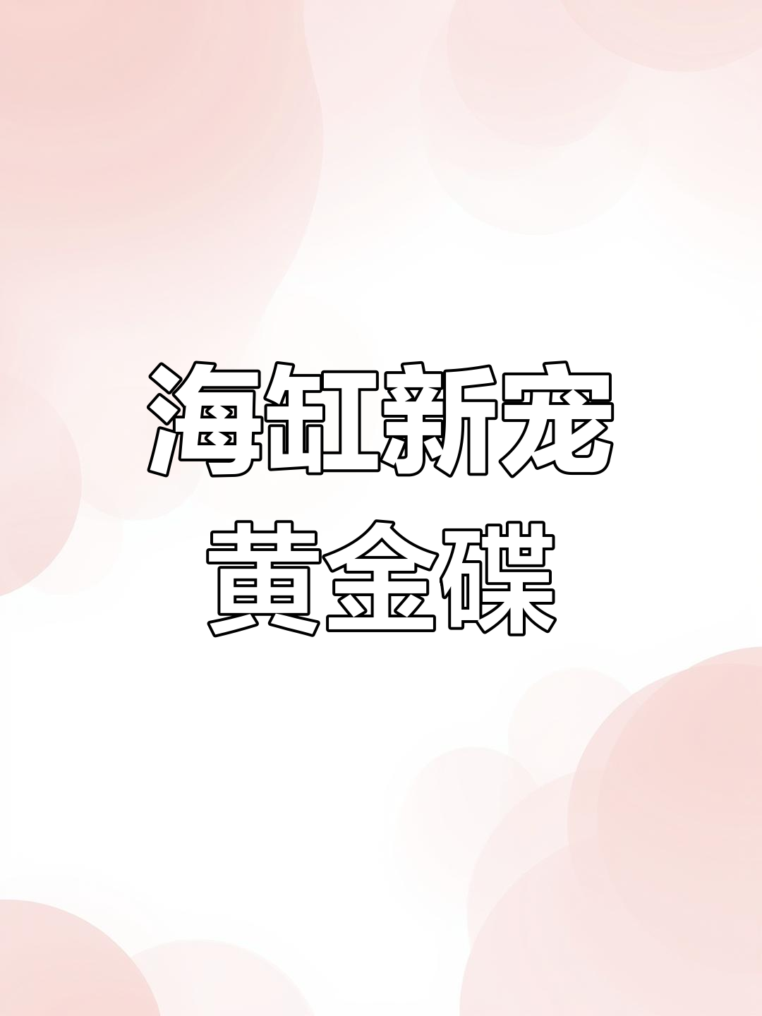 黄金蝶与海水鱼到货,20公分超肥品种揭秘