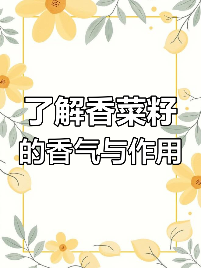 香菜籽:香料中的秘密武器,助你提升菜肴风味