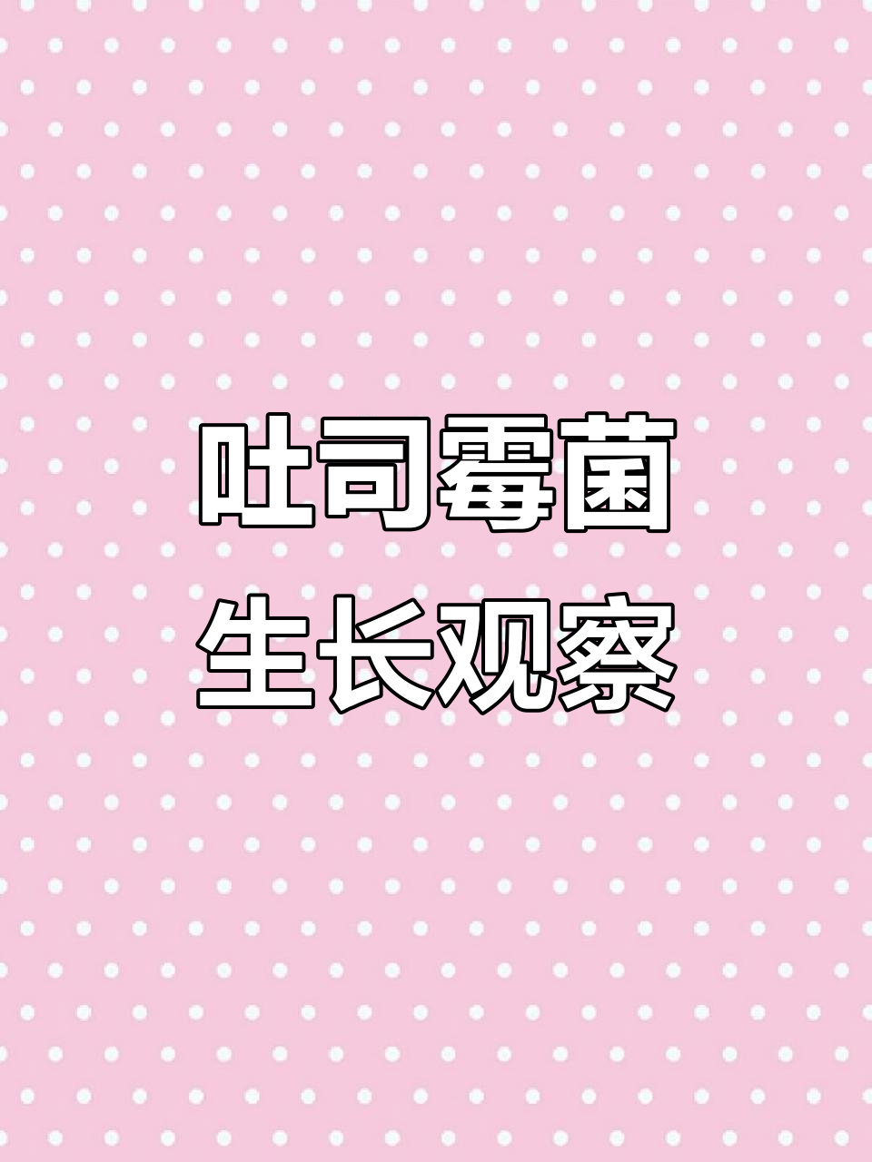 吐司变黑发霉实验，看看不同植物的反应