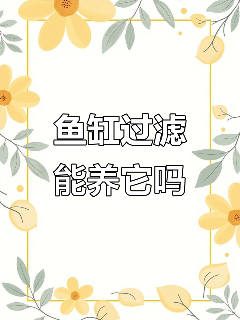 溪流鱼缸能养活这种小鱼吗?过滤系统够强大吗