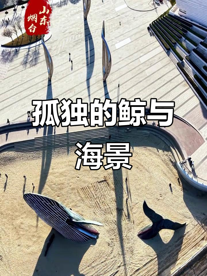烟台开发区孤独鲸打卡地,海边美景尽收眼底