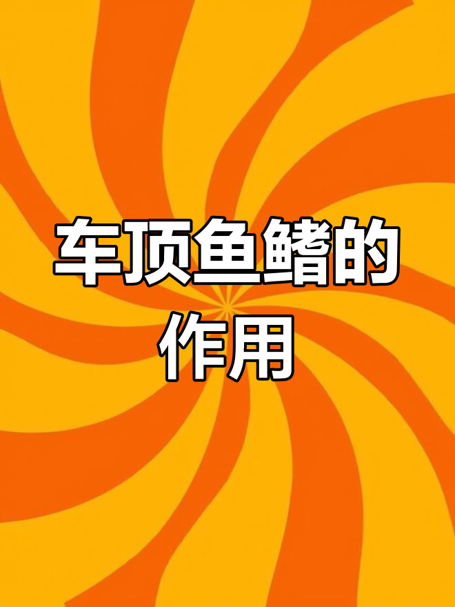 车顶“鱼鳍”到底有啥用?揭秘它的神奇功能