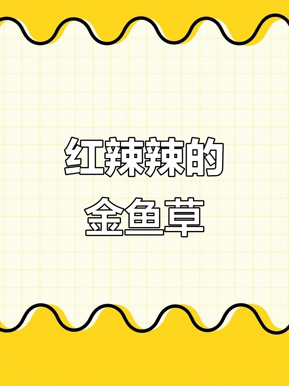 火红金鱼草,株形紧凑开花多,适合种成花海