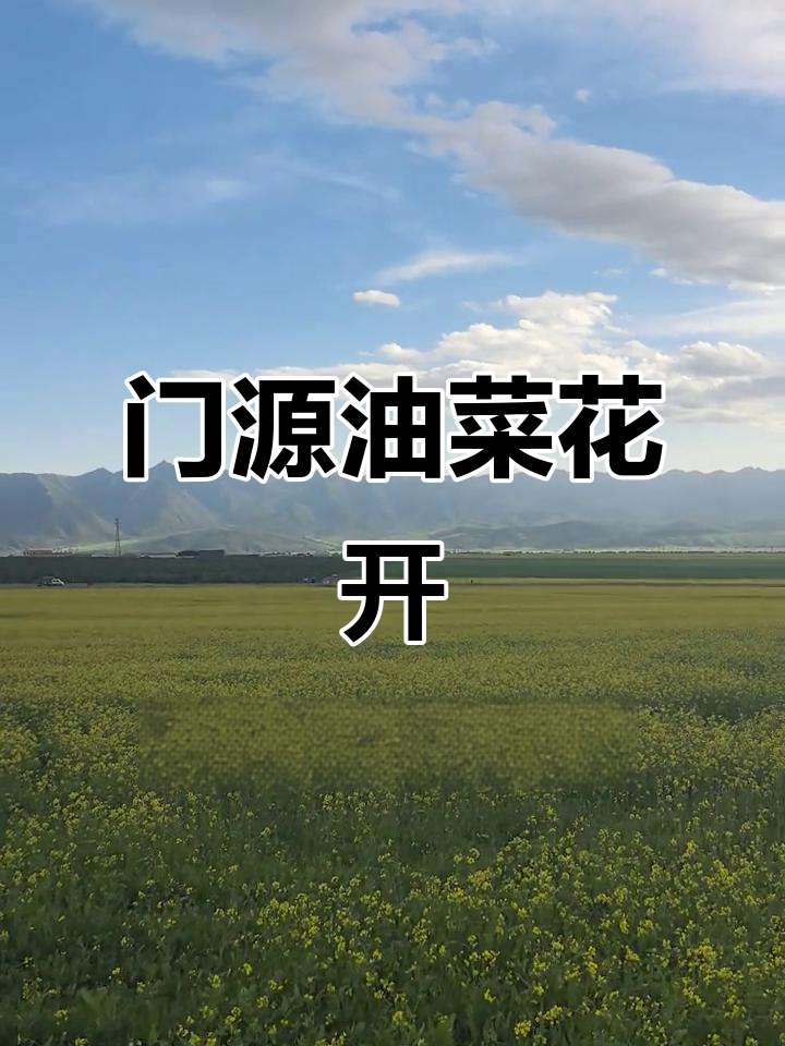 7月青海门源油菜花盛开，3000米海拔下的美景