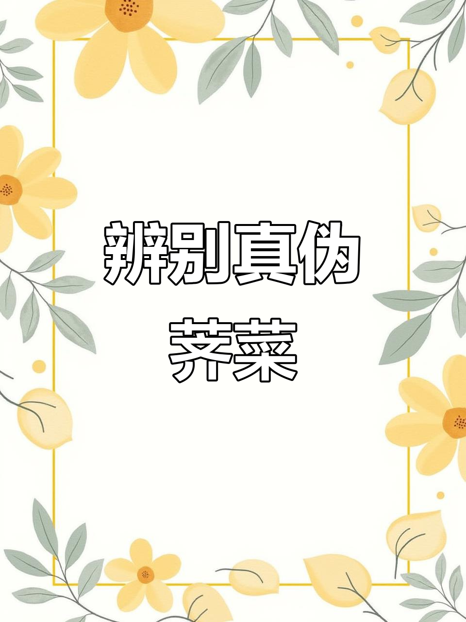 如何辨别真假荠菜?四种常见菜的真相大揭秘