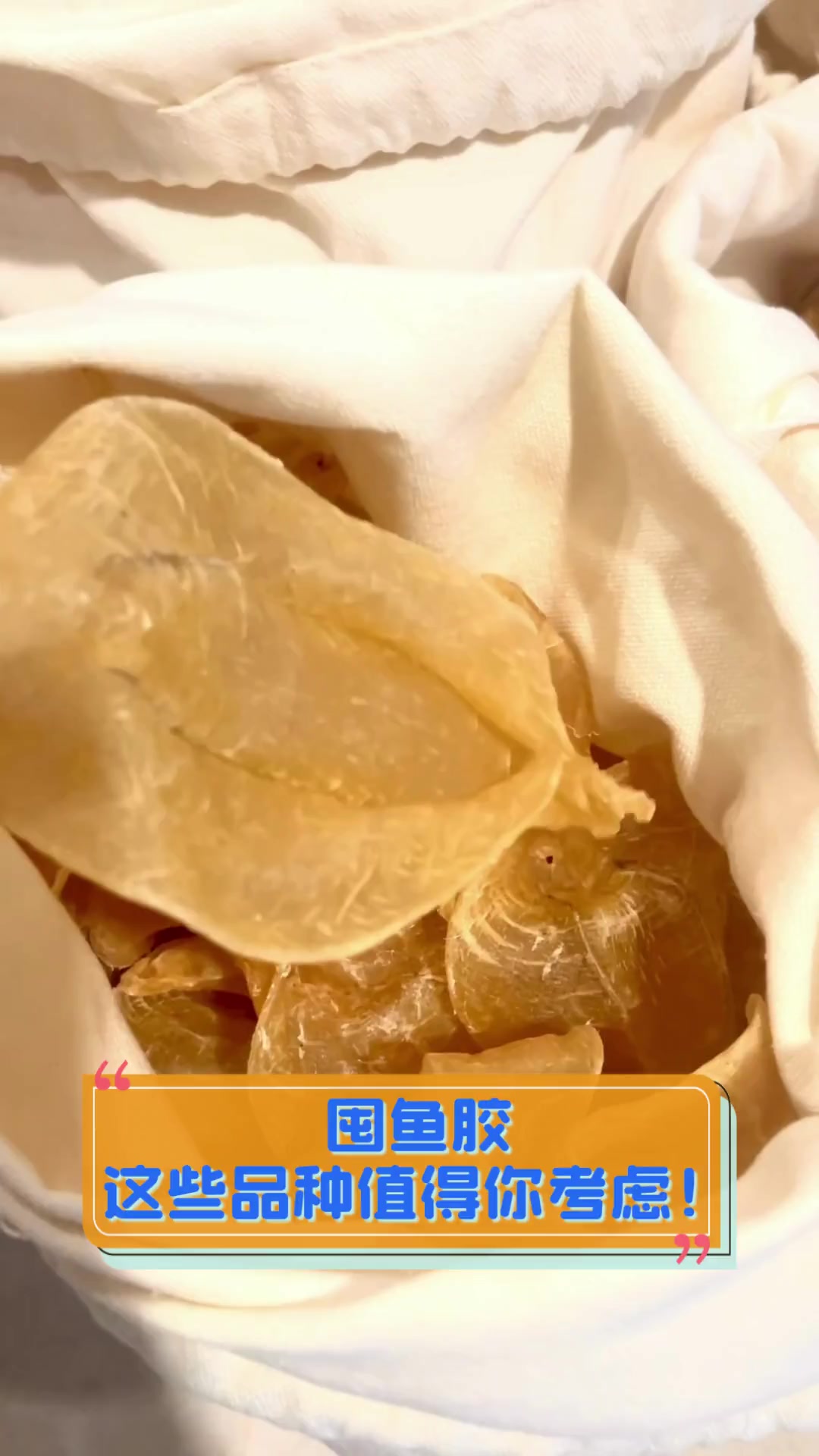 囤鱼胶,这些品种值得你考虑!
