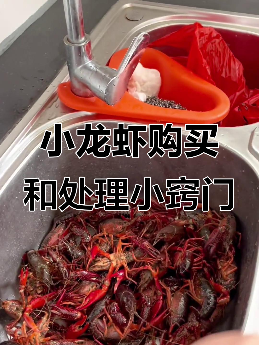 买龙虾的秘密：曾听揭秘小龙虾处理技巧，教你如何避免被坑