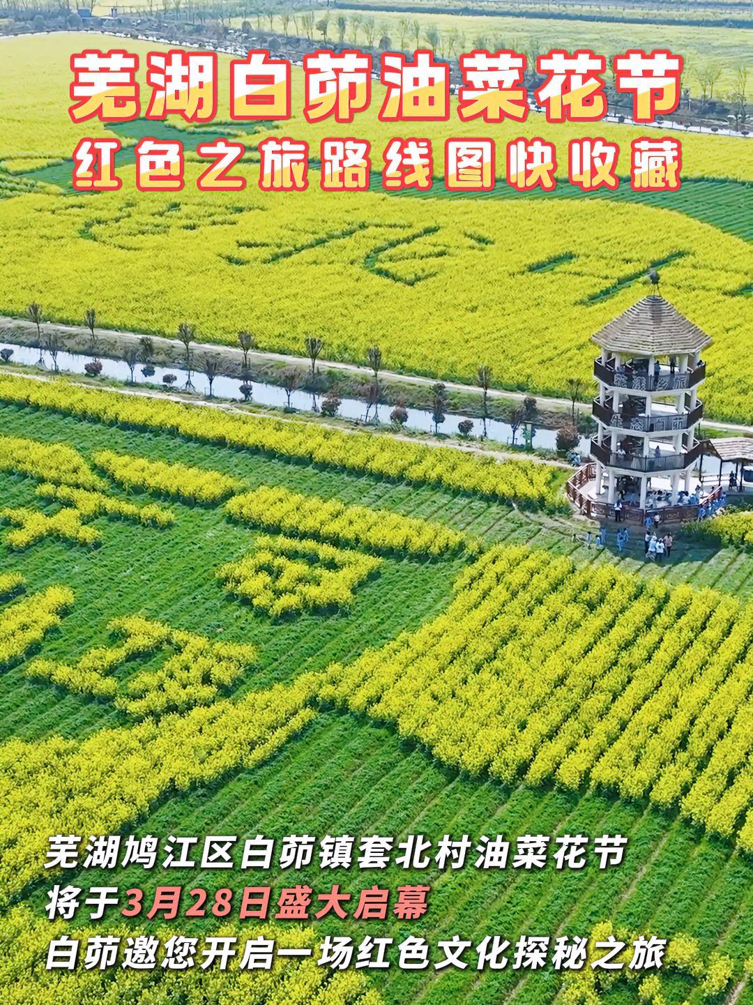 芜湖白茆油菜花节 红色之旅路线图快收藏 春游江淮
