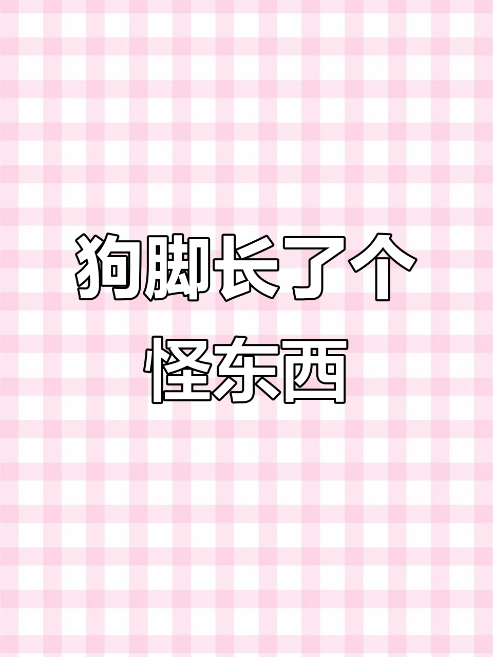 狗狗脚上突然鼓包,硬得像骨头一样!