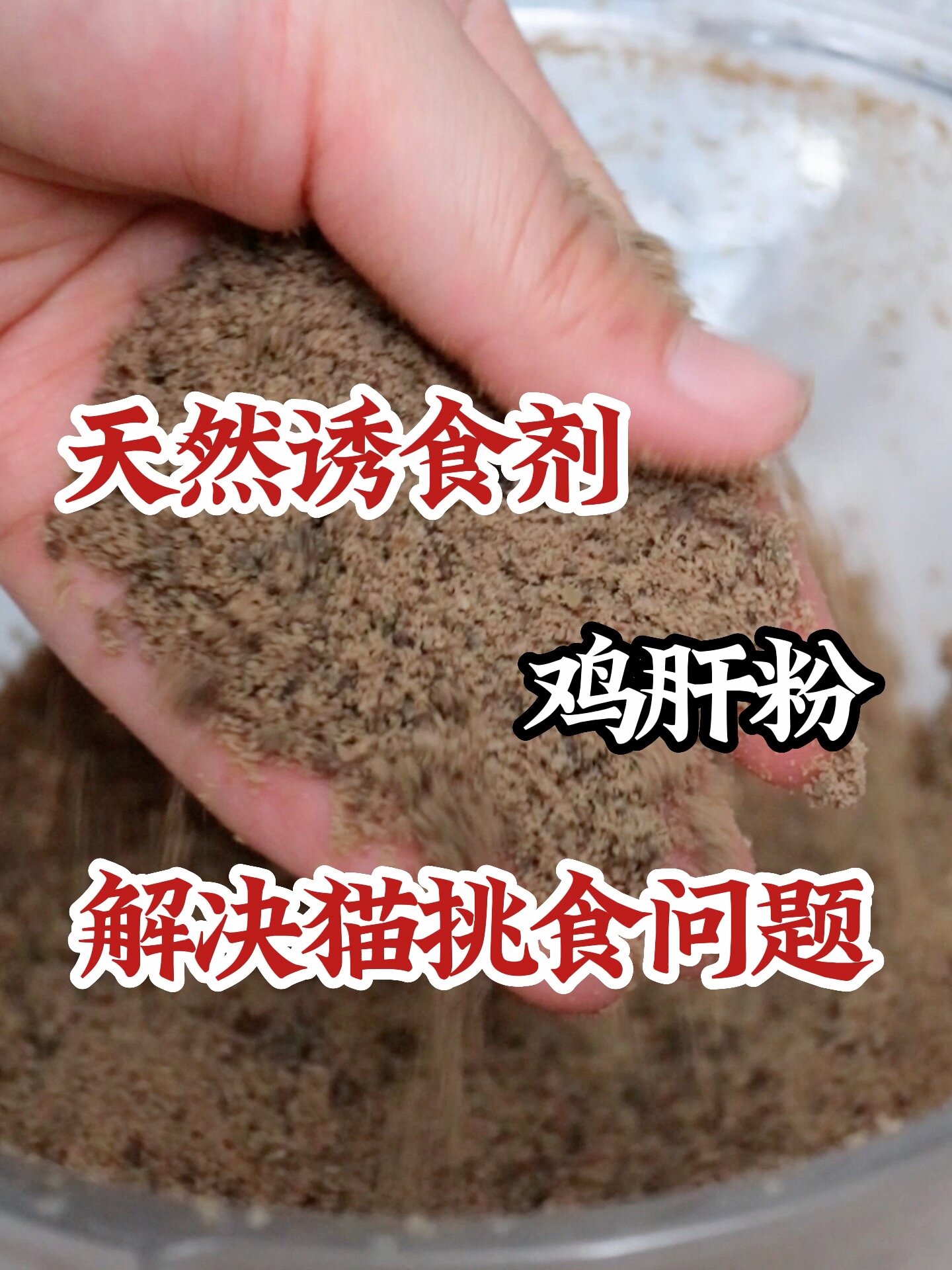在家花三块 给猫咪做鸡肝粉 它吃的真开心!