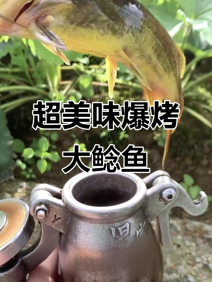 爆烤大鲶鱼,盐香四溢,烧烤酱加持更诱人