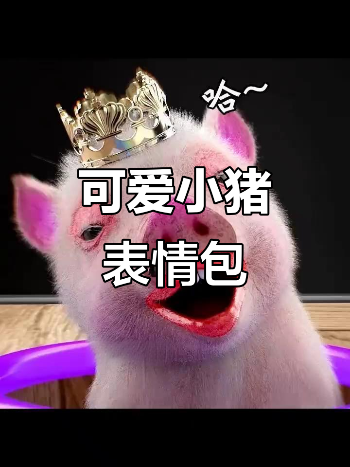 小猪迈儿经典表情包,萌态十足!