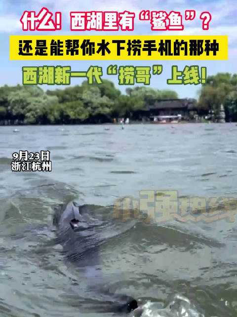 西湖有“鲨鱼”出没?景区公安:能找手机的仿生鱼