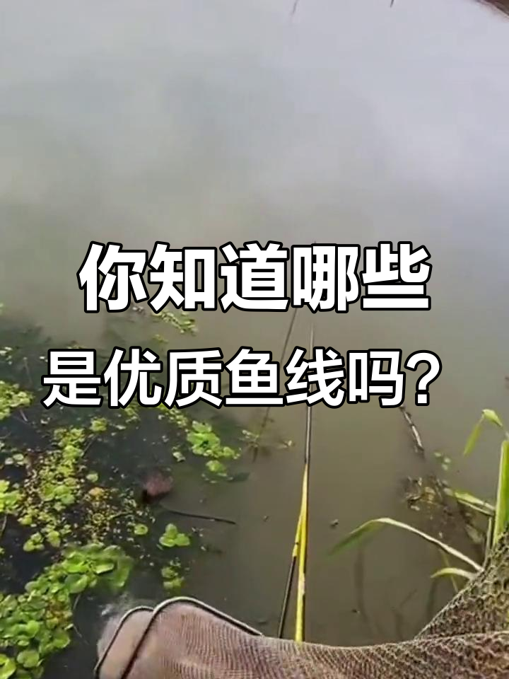 鱼线种类大揭秘:陶瓷线和超强PE纤维钓鱼线的优势对比