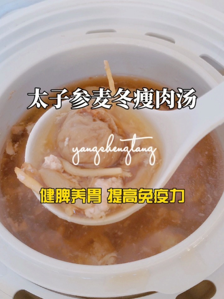 太子参麦冬瘦肉汤|健脾养胃,提高免疫力