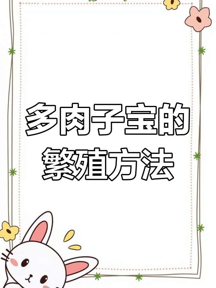 紫宝多肉繁殖技巧大揭秘,分株法让你轻松拥有更多