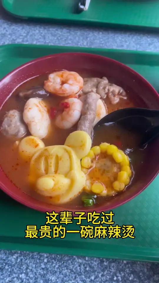最贵的一碗麻辣烫吃上啦 #上海迪士尼 #迪士尼 #麻辣烫 #内容过于真实 #美食