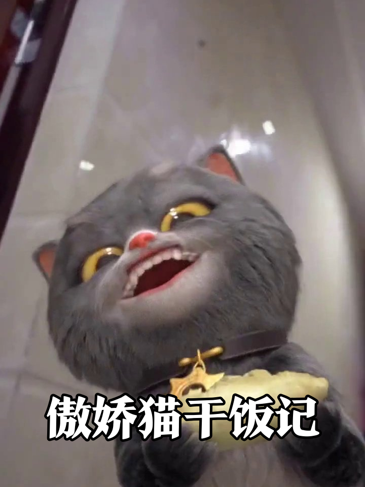 猫咪嫌弃包子秒真香,转头叼着跑走廊狂炫,主人追着喊