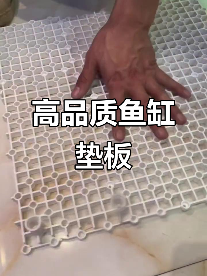 鱼缸底滤板承重强,水循环更流畅